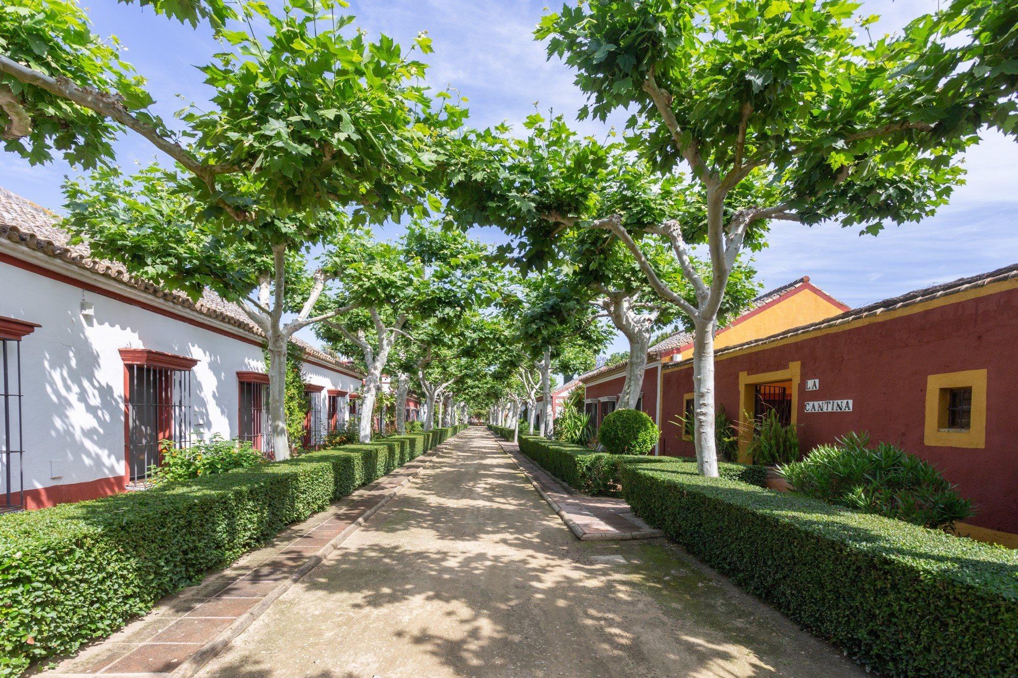 El Cortijo De Los Mimbrales Hotel Almonte Bagian luar foto