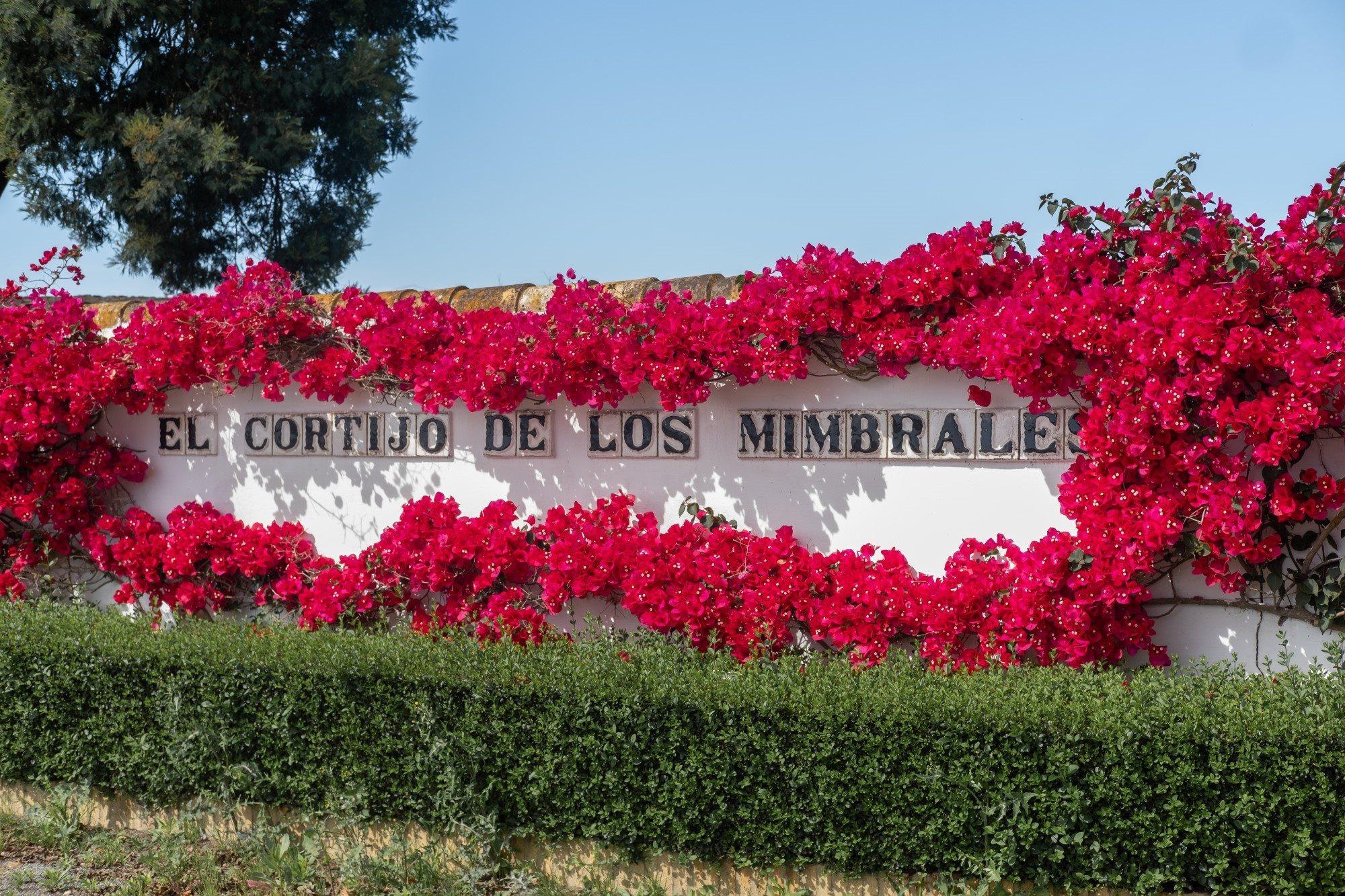 El Cortijo De Los Mimbrales Hotel Almonte Bagian luar foto