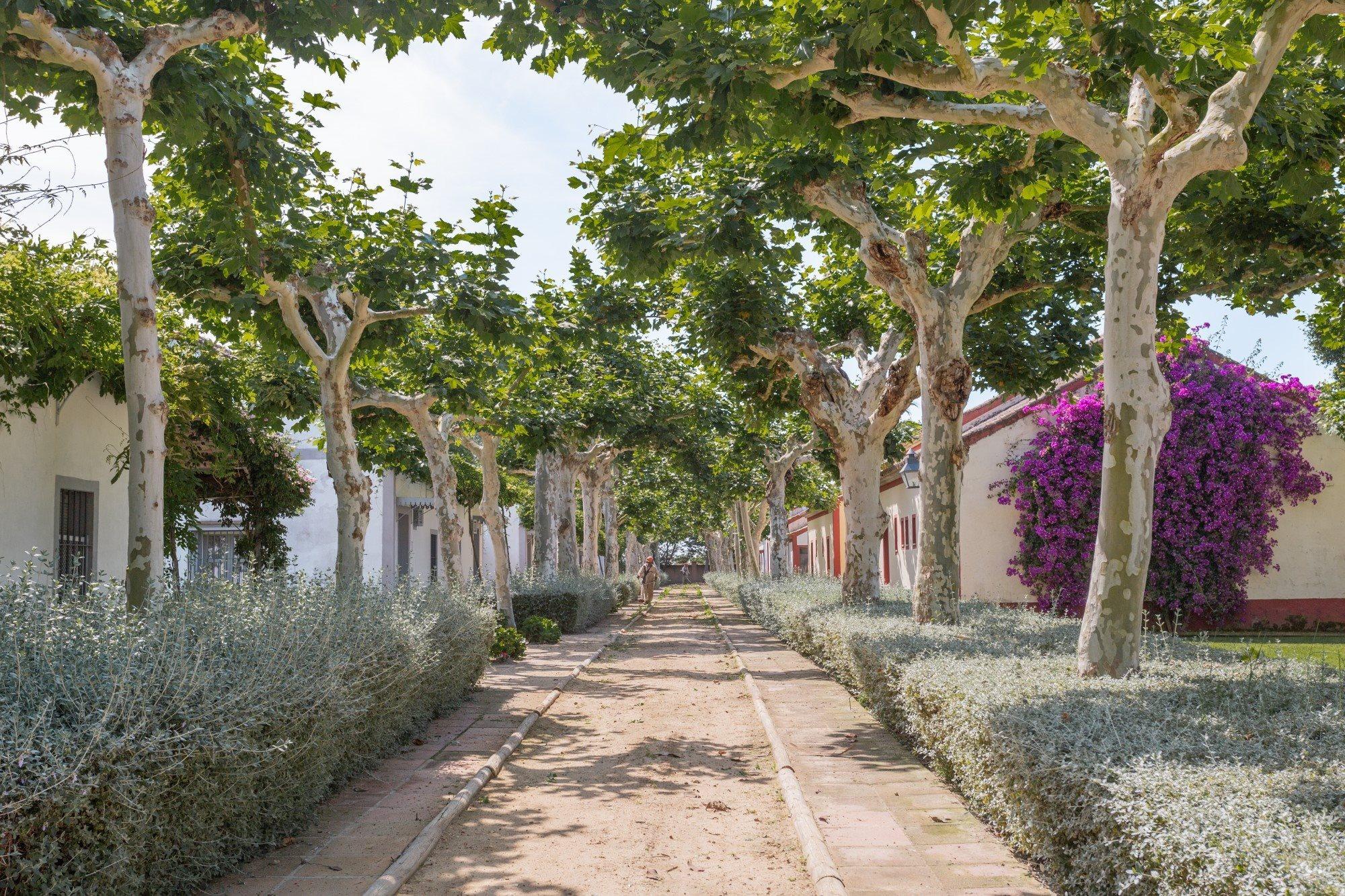 El Cortijo De Los Mimbrales Hotel Almonte Bagian luar foto